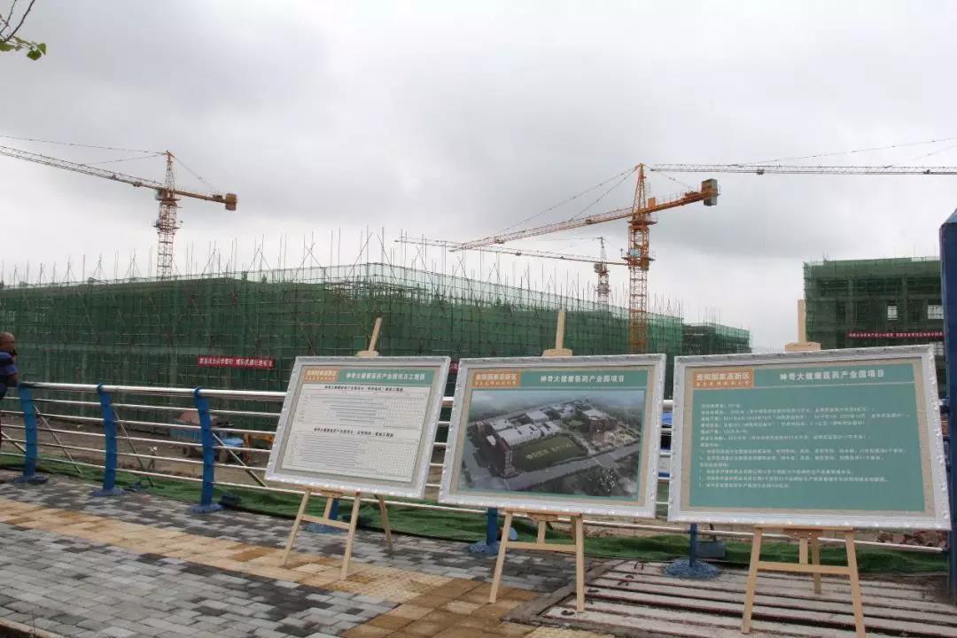 贵阳市市长陈晏调研人生就是博大健康医药产业园3.jpg 贵阳市市长陈晏调研人生就是博大健康医药产业园3.jpg